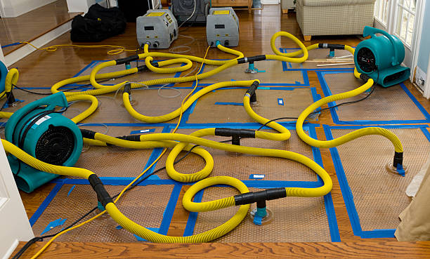 Professional Structural Drying And Dehumidification technician working in Valley Center, KS